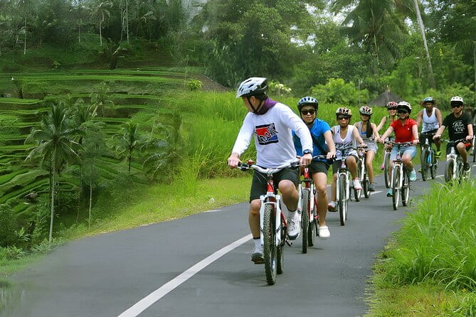 Bali Countryside Eco Cycling Tour include Lunch - Guides Make or Break It: Simon, Aton, Wiyasa, Anto, and Darta
