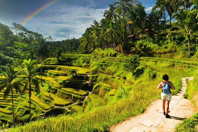 Bali Cultural Experience - A well-paced Bali day that mixes nature and local life