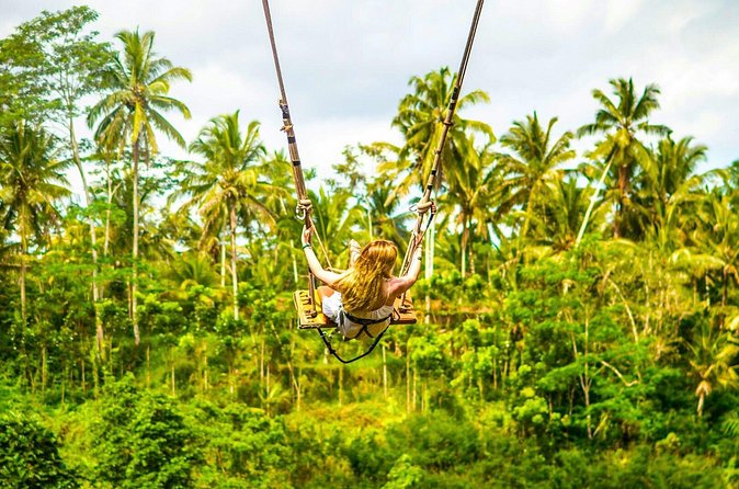 Bali Cultural Experience - Price and logistics: why $59 can be a solid deal