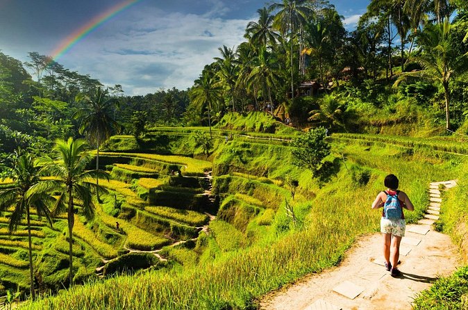 Bali Cultural Experience - Pickup, timing, and staying comfortable in Bali traffic