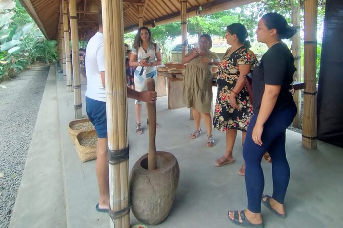 Bali Culture And Spring Temple Private Guided Tour - Price, ticket coverage, and the one thing you should confirm