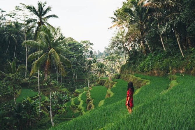 Bali day trip : Batur Sunrise Hike and Hot Spring All inclusive - All-Inclusive Pricing: What You Get for $97.86