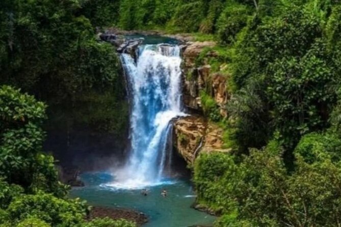 Bali Day Trip to Ubud Highlight Tour and Tanah Lot Temple - Sacred Monkey Forest Sanctuary: Watching Macaques the Smart Way