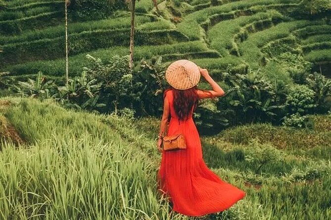 Bali Day Trip to Ubud Highlight Tour and Tanah Lot Temple - Tanah Lot at Sunset: The Beach-Temple Moment