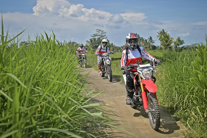 Bali Dirt Bike Adventure - Should you book this Bali Dirt Bike Adventure in Ubud?