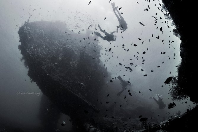 Bali Diving Day Trip-Manta Point/Tulamben Shipwreck-Fun Dive - Beginner scuba coaching with small ratios (and what it means in practice)