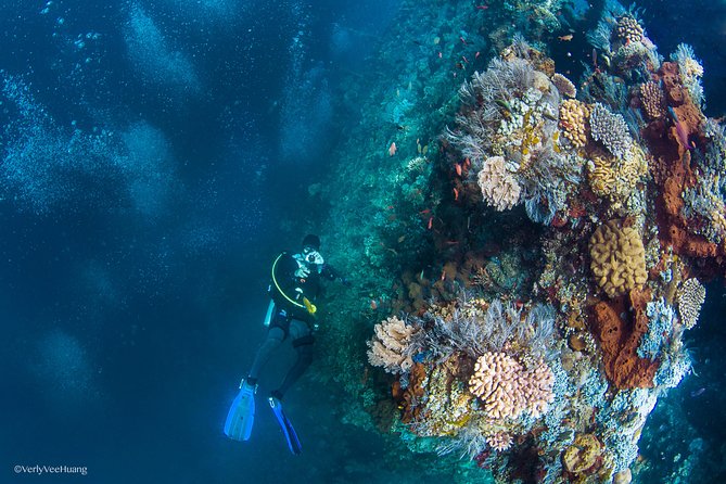 Bali Diving Day Trip-Manta Point/Tulamben Shipwreck-Fun Dive - Your 9-hour day plan from Seminyak pickup to Sanur return