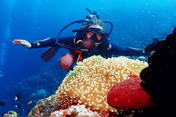 Bali Diving for Beginners: Tulamben Liberty Wreck - USS Liberty Wreck Underwater: What You’ll See and Why It’s Worth It