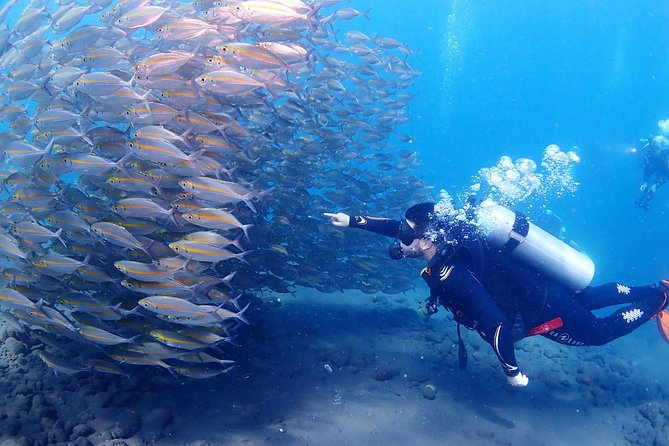 Bali Diving for Beginners: Tulamben Liberty Wreck - Lunch, Hot Drinks, and Reusable Cups: A Real Break Between Sessions