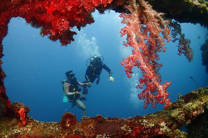 Bali Diving for Beginners: Tulamben Liberty Wreck - Safety First, and Small Group Size That Helps