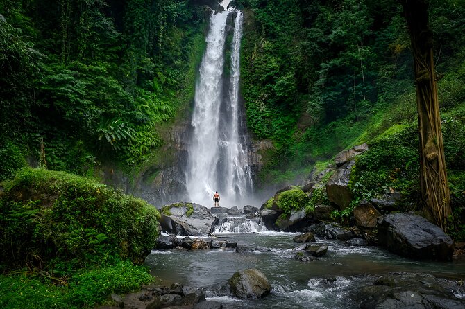 Bali Dolphin Watching Sunrise Tour in Lovina Beach - Gitgit Waterfall, then twin lakes and temple air around Bedugul