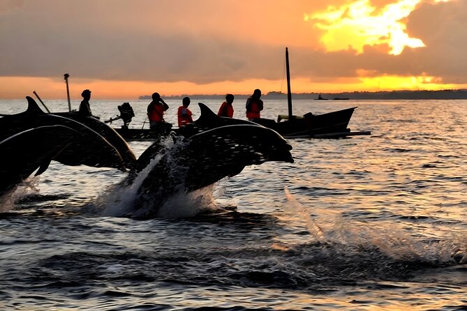 Bali Dolphin Watching Sunrise Tour in Lovina Beach - Price and value: what your $80 includes, and when it’s a smart deal