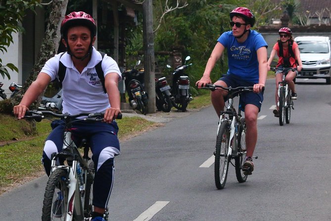 Bali Downhill Cultural Cycling Tour - From Ubud hotel pickup to Kintamani highland views