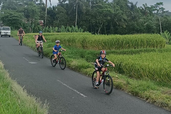 Bali Downhill Natural Cycling Tour & visit Volcano - Temple stops, traditional homes, and the rice paddies walk