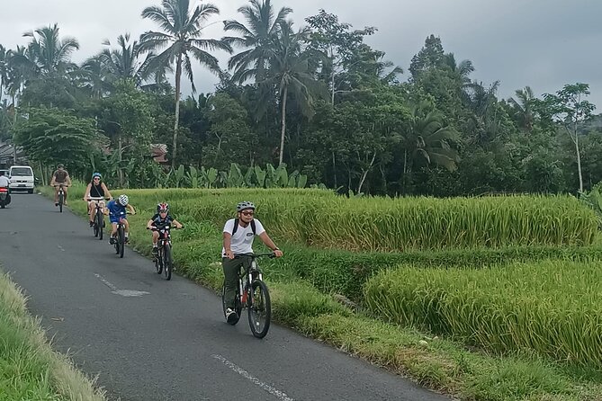 Bali Downhill Natural Cycling Tour & visit Volcano - Manukaya and the downhill flow, what the middle of the day is like