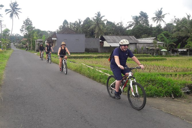 Bali Eco & Educational Cycling Tour - Downhill Mountain Biking on Secret Back Roads Through Villages and Rice Paddies