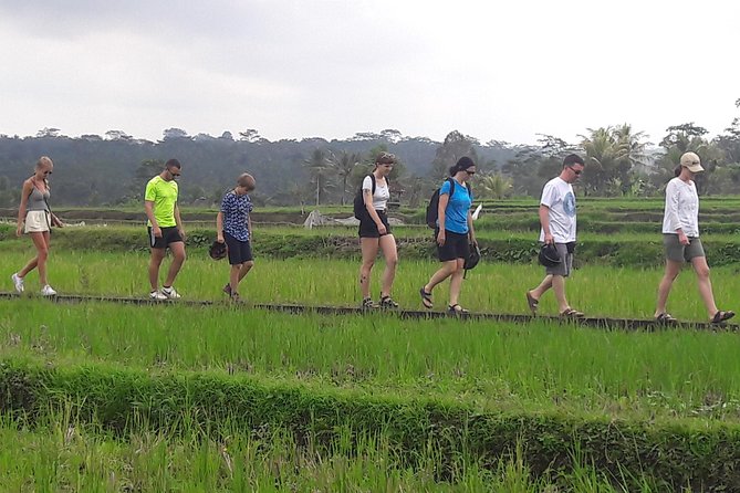 Bali Eco & Educational Cycling Tour - Balinese Lunch, Snacks, Bottled Water, and a Coffee Break That Actually Helps