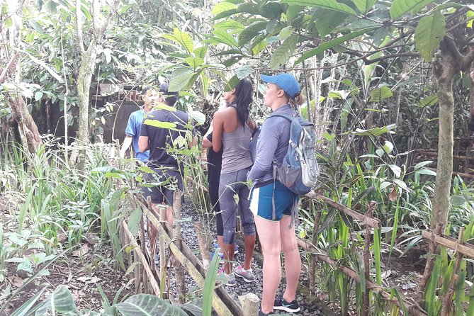 Bali Eco & Educational Cycling Tour - Family-Friendly Safety, Baby Bike Seats, and a Calm Small-Group Pace