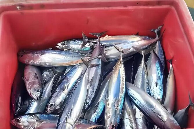 Bali: Fishing Charter Private Boat - The Private Boat Setup, Crew Roles, and What “Easy” Looks Like