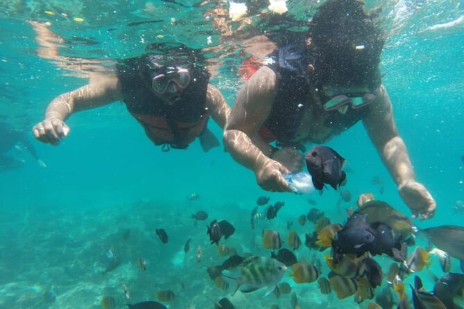 Bali: Fishing trip & Blue Lagoon Snorkeling with Lunch - Corral fishing in the Indian Ocean: try, learn, and enjoy the chase