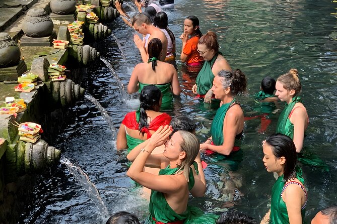 Bali Full-Day Car Charter: Ubud and Kintamani Volcano Tour - Stop 5: Sacred Monkey Forest Sanctuary and the Reality of 400+ Macaques