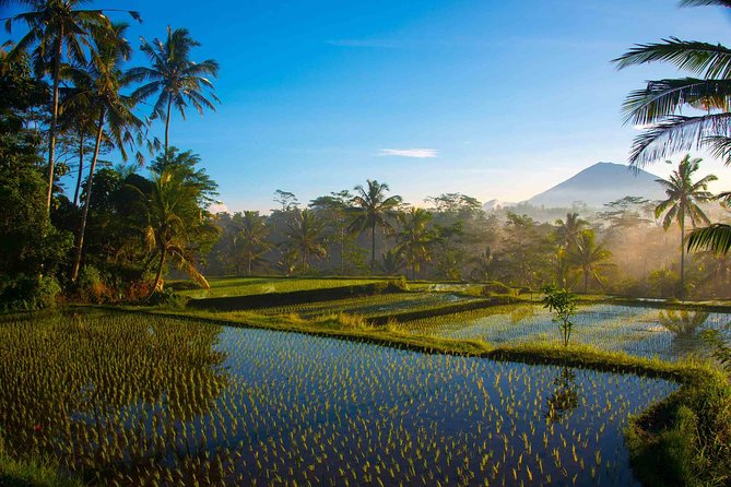 Bali Full Day Photography Tour - How the Tour Uses Sunrise Timing for Better Photos