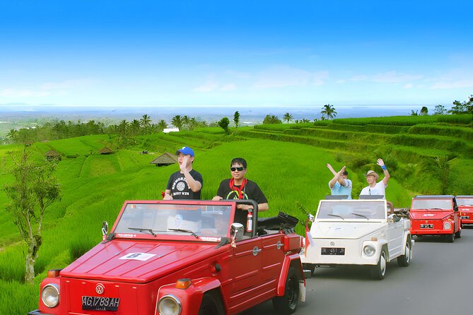 Bali Full-Day The Gate of Heaven Tour by VW Safari Classic Car - The practical value of a $90 private tour with tickets included