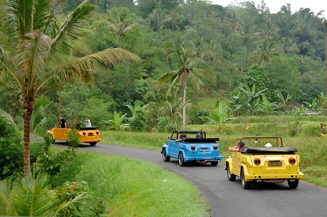 Bali Full-Day The Gate of Heaven Tour by VW Safari Classic Car - Who this Bali day trip suits best