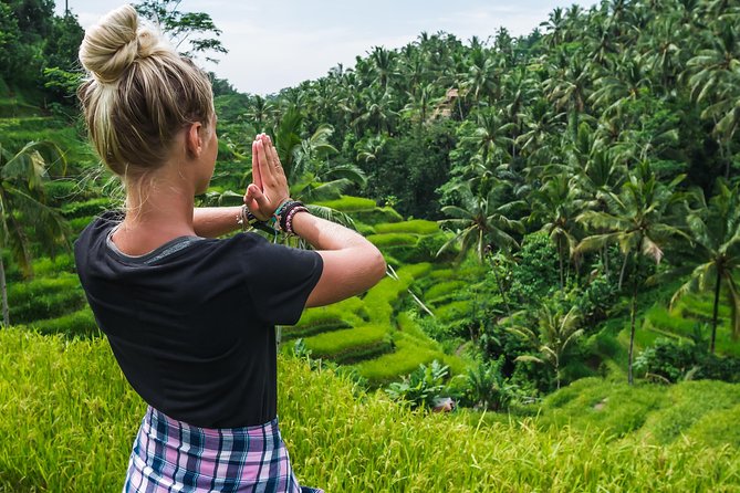 Bali Full Day Tour: Highlights of Ubud and Hidden Waterfall - Tegalalang Rice Terrace: the walk is the show