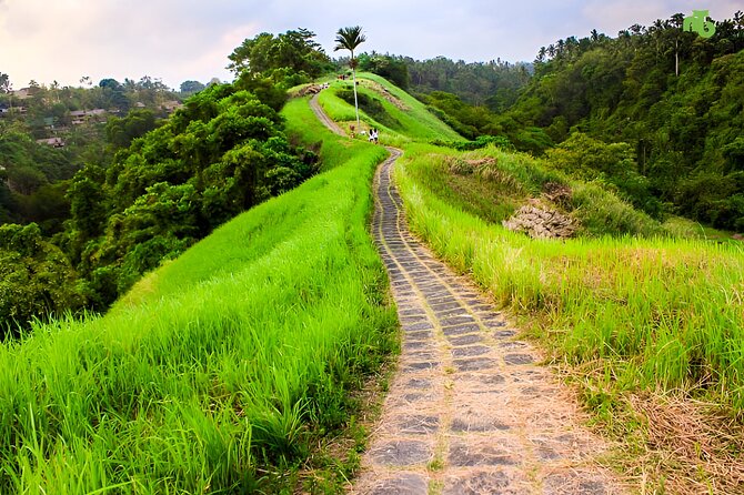 Bali Full Day-Tour: Ubud Sightseeing Trip - Seminyak to Ubud: the value of pickup and air-conditioned transfers