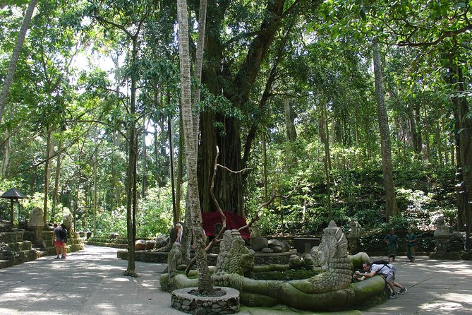 Bali Full-Day Traditional Village Sightseeing Trip All Inclusive - Tegalalang rice terrace: the view stop you’ll remember