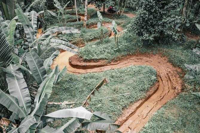 Bali: Gorilla Face ATV Bali Ubud Adventure with Lunch - The jungle and village trail loop: rice views, palms, and muddy challenges