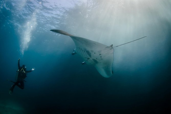 Bali Hai - Reef Cruise - Key points I’d bookmark before you go