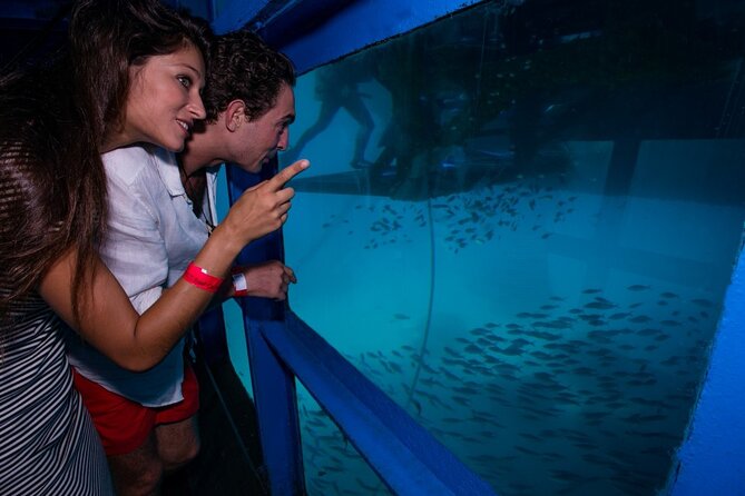 Bali Hai - Reef Cruise - Reef restoration workshop and village tour: learning without killing the mood