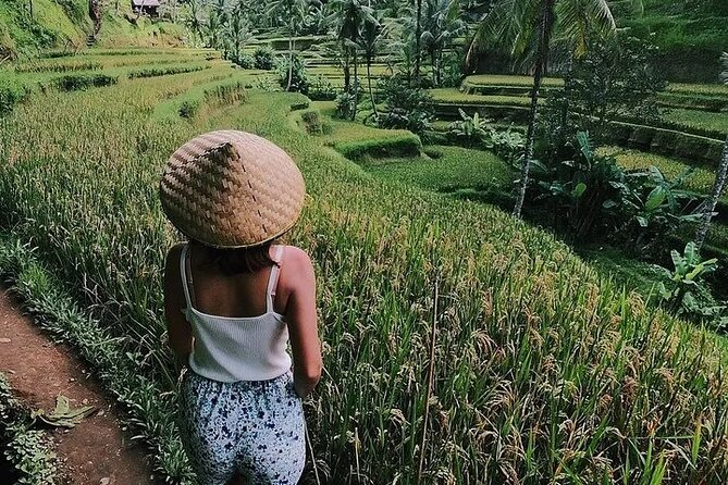 Bali Half Day Trip : All-Inclusive and Private Guided Tour - The private format: pickup, comfort, and an English-speaking driver