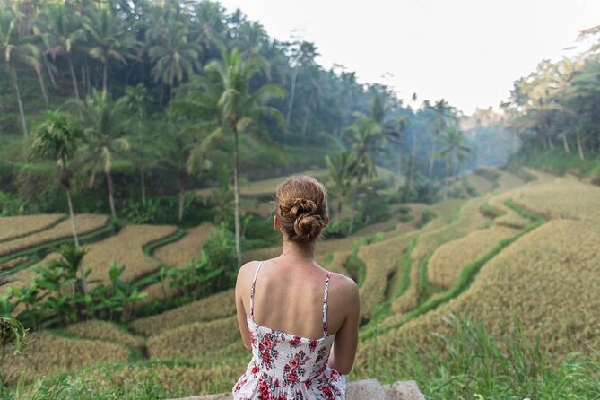 Bali Half Day Trip : All-Inclusive and Private Guided Tour - Stop 4: Tirta Empul Temple, holy water purification in 40 minutes