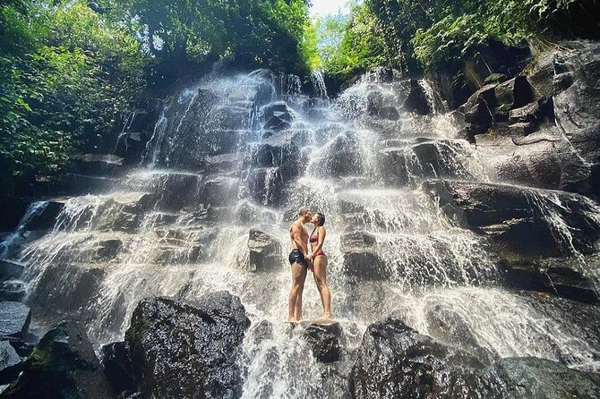 Bali Half Day Trip : All-Inclusive and Private Guided Tour - Stop 1: Sacred Monkey Forest Sanctuary, 12.5 hectares of macaques
