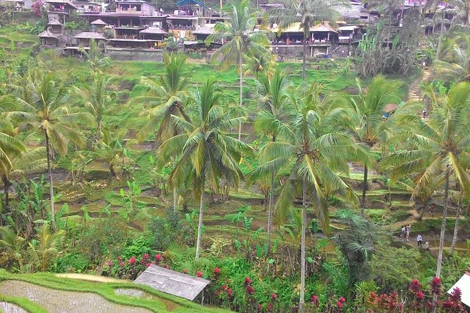 Bali Hindu temple, Rice terrace, Waterfall -All Inclusive - Private Pickup, Private Pace, and Guides Like Wayan
