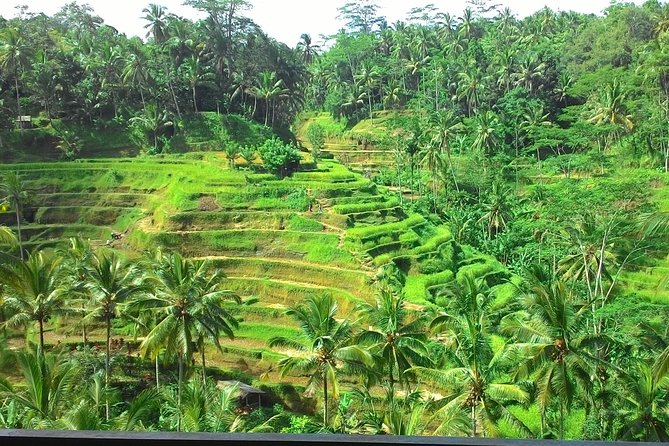 Bali Hindu temple, Rice terrace, Waterfall -All Inclusive - Stop 2: Pura Puseh Desa Batuan (A Temple With Real Details)