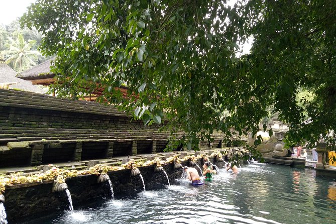 Bali Holy Bathing Ritual and Ubud Highlights tour - Pickup, AC Car, and a 6 to 8 Hour Rhythm