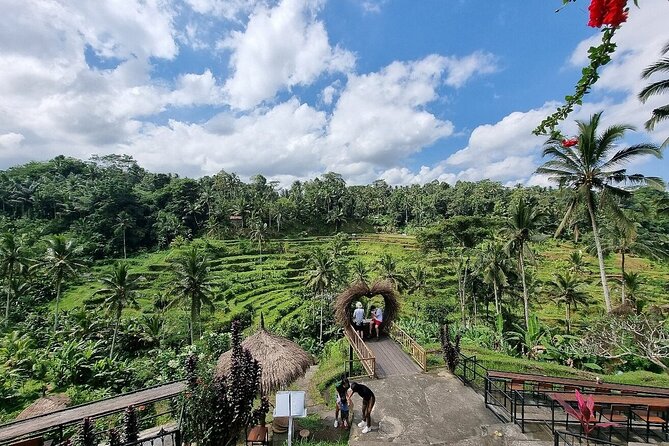 Bali Holy Bathing Ritual and Ubud Highlights tour - Price and Value: Why This $31 Day Can Make Sense