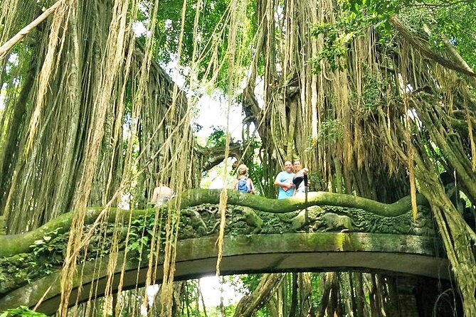Bali Holy Bathing Ritual and Ubud Highlights tour - Tirta Empul Holy Bathing Ritual: Dress for Respect, Not Comfort