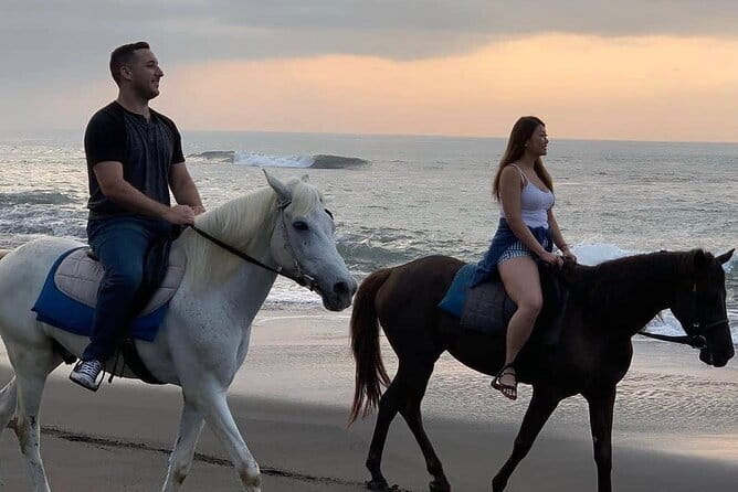 Bali Horse Riding Seminyak Beach Experience Private Transport - Key things that make this Seminyak horse ride worth your time