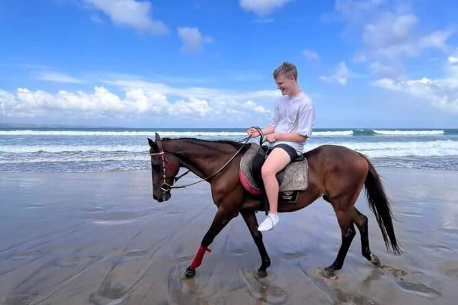 Bali Horse Riding Seminyak Beach Experience Private Transport - Transport and timing: how pickup can make or break the day