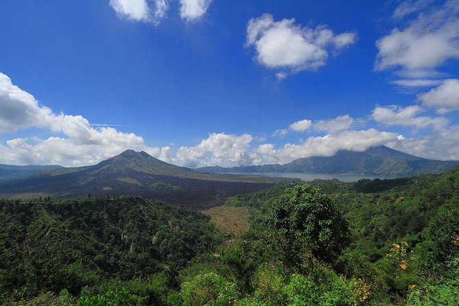Bali Iconic Tour with Buffet Lunch and Attraction Tickets - Sacred Monkey Forest Sanctuary in Ubud