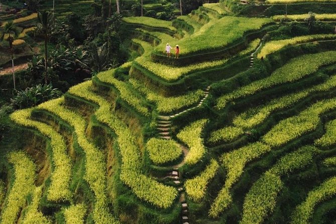 Bali Instagram Tour - All Inclusive - Lempuyang Temple at Gate of Heaven, the sunrise plan, and the queue reality
