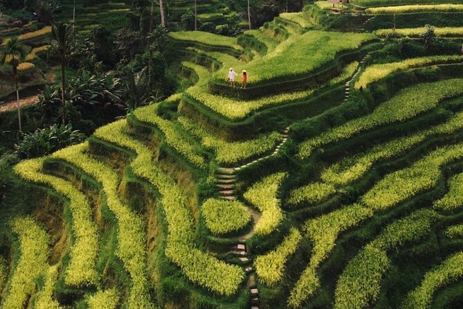 Bali Instagram Tour - All Inclusive - Optional Aloha Ubud Swing, when extra photos are worth extra money