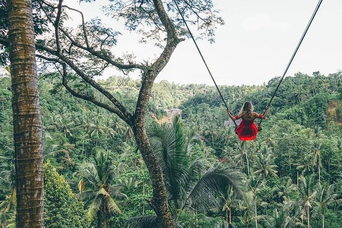 Bali Instagram Tour from Your Hotel (Private & Full-day) - Hotel Pickup and Private Transport That Starts at Your Door