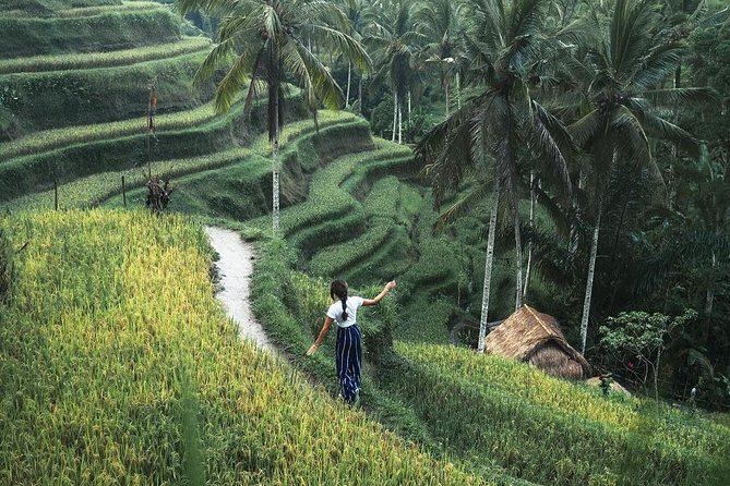Bali Instagram Tour from Your Hotel (Private & Full-day) - North Bali Insta Circuit: Billabong, Kelingking, Cliffs, and Bratan