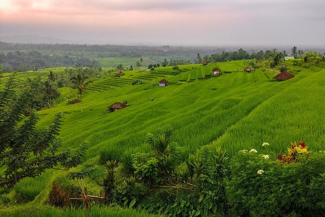 Bali Instagram Tour - Lempuyang Bali Gate of Heaven - Ubud Culture Add-Ons: Arts Handicraft Village and Monkey Forest